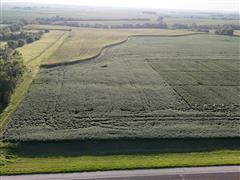 DJI_20240817185846_0087_D.JPG