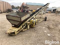 50' Aggregate Conveyor 