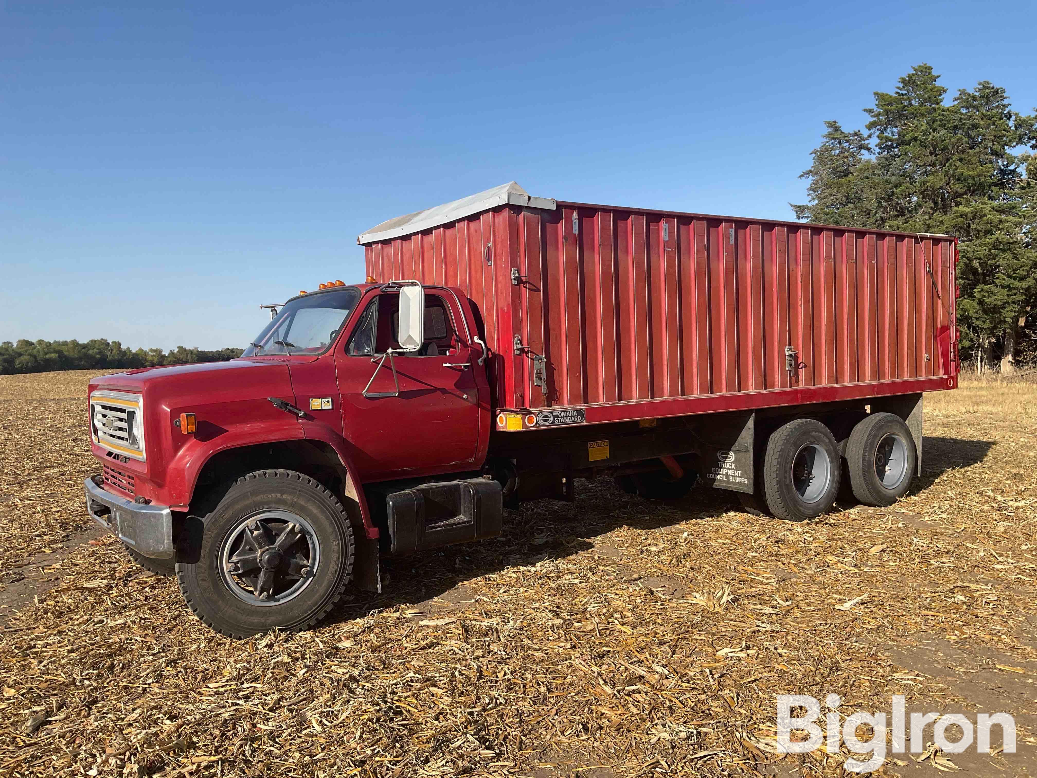 1981 Chevrolet C6500 S/A Grain Truck w/ Tag Axle 