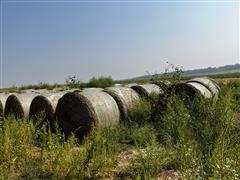 Triticale Bales 