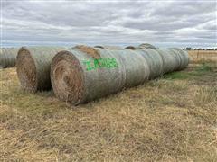 Wheat Hay 