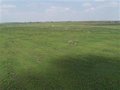 DJI_0936.JPG