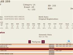 255 Pedigree.JPG