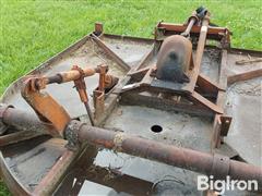20250618_151905.jpg