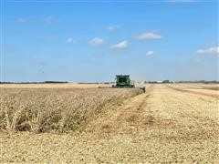 Soybean Harvest.jpg