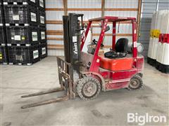 2003 Tailift FG25 Dual Fuel Forklift 